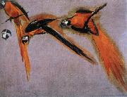 BOEL, Pieter South America, large parrot oil painting artist